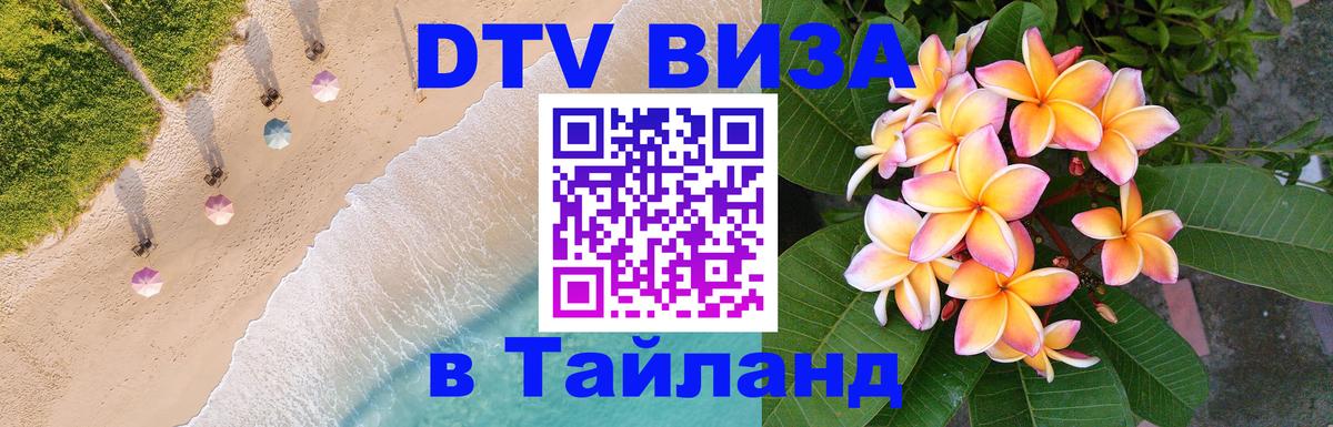 Сколько стоит DTV виза — актуальные цены, оформление даже без документов - 20.11.2025 